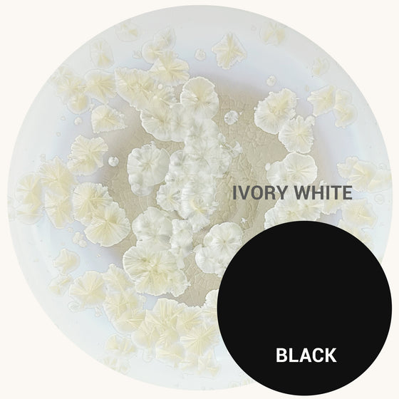 INDIKOI MOD PENDANT - IVORY WHITE CRYSTALLINE